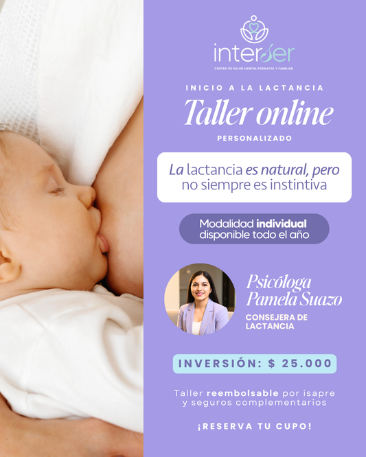 Taller Inicio a la Lactancia con Pamela Suazo